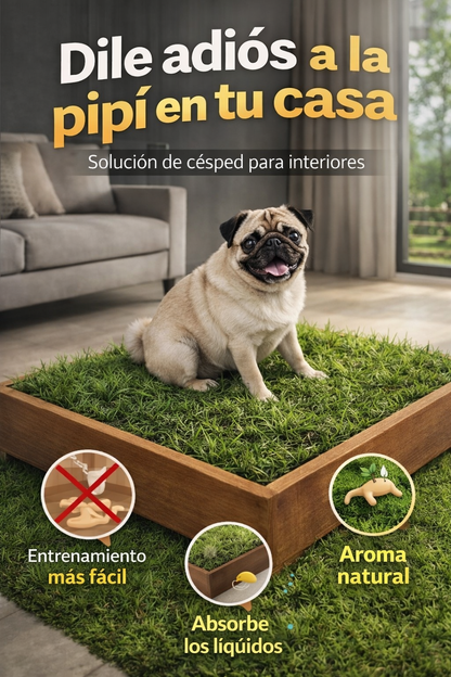 DOGMA® PETGARDEN — Mantén tu hogar limpio y a tu peludito cómodo todos los días.