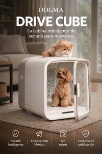 DOGMA® DRIVE CUBE — Tu mascota seca, tranquila y sin estrés en minutos.