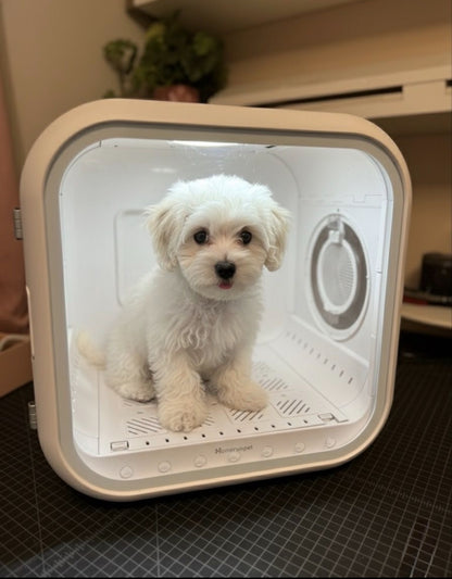 DOGMA® DRIVE CUBE — Tu mascota seca, tranquila y sin estrés en minutos.