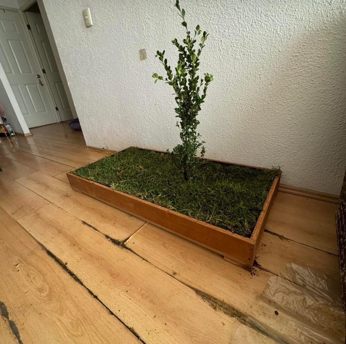 DOGMA® PETGARDEN — Mantén tu hogar limpio y a tu peludito cómodo todos los días.